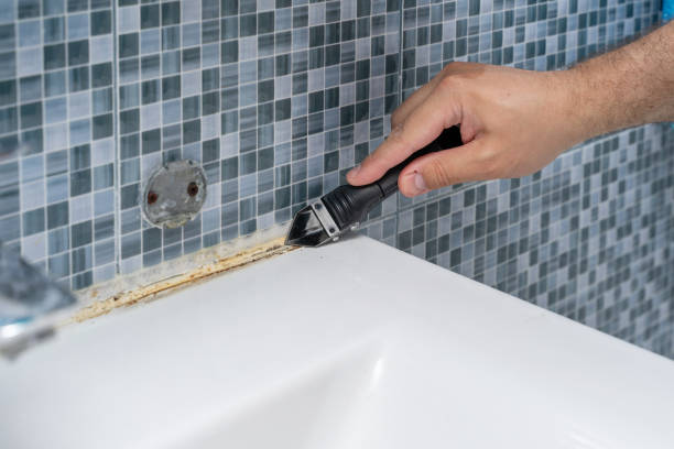 Best Office Mold Removal Services  in Morton, IL